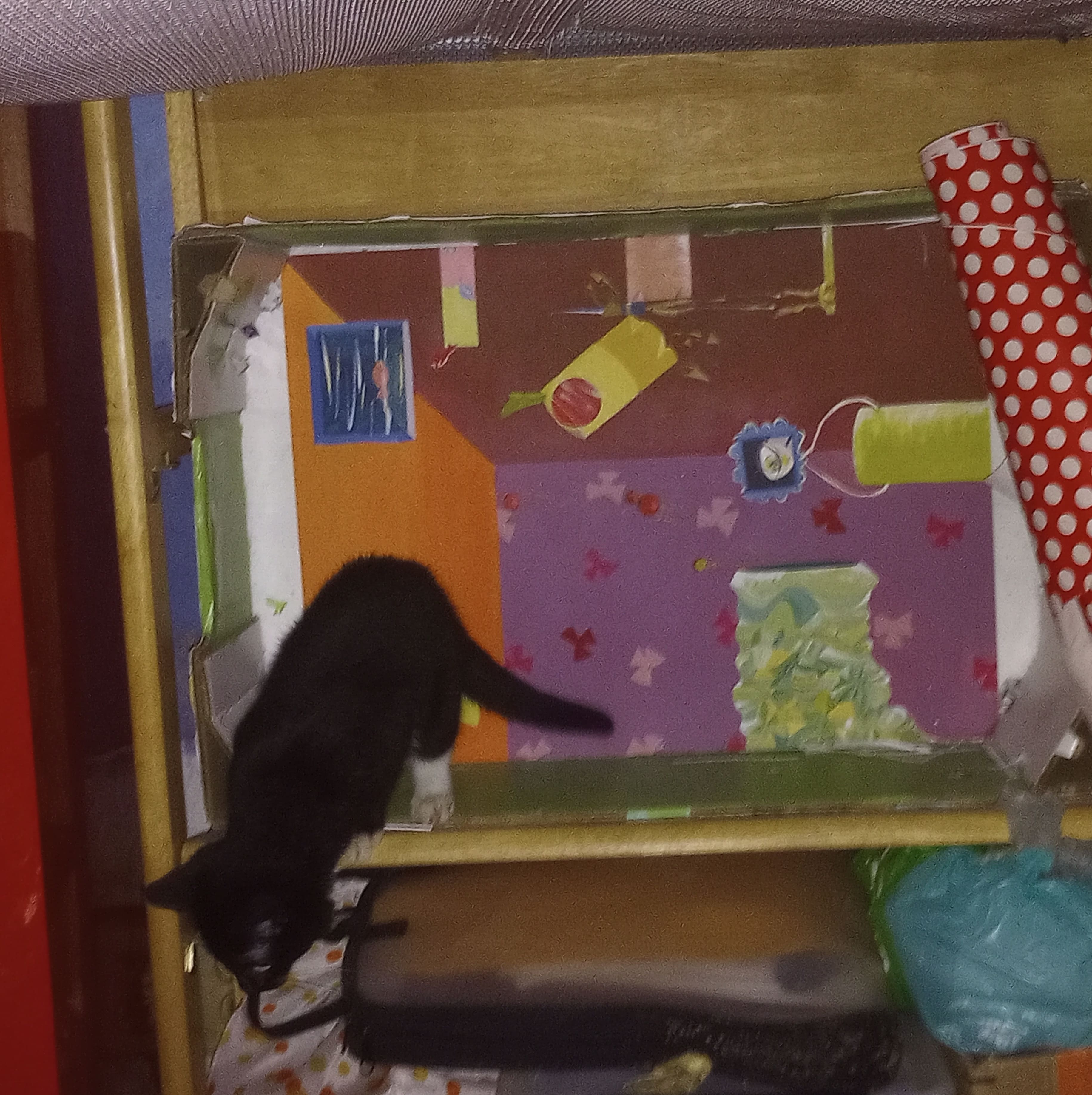 Person holding a small kitten with others playing nearby